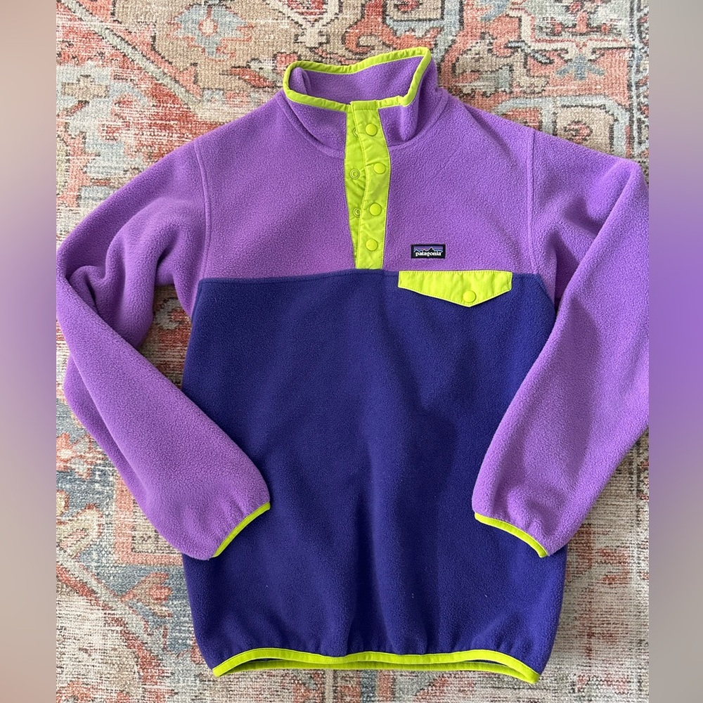 Patagonia Purple and Green Synchilla Fleece